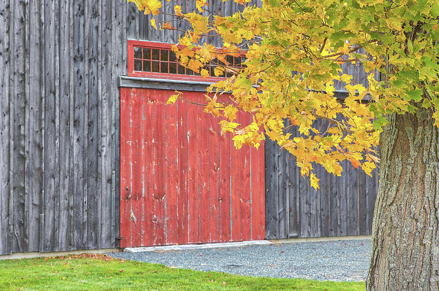 New England Barn And Fall Foliage Photograph