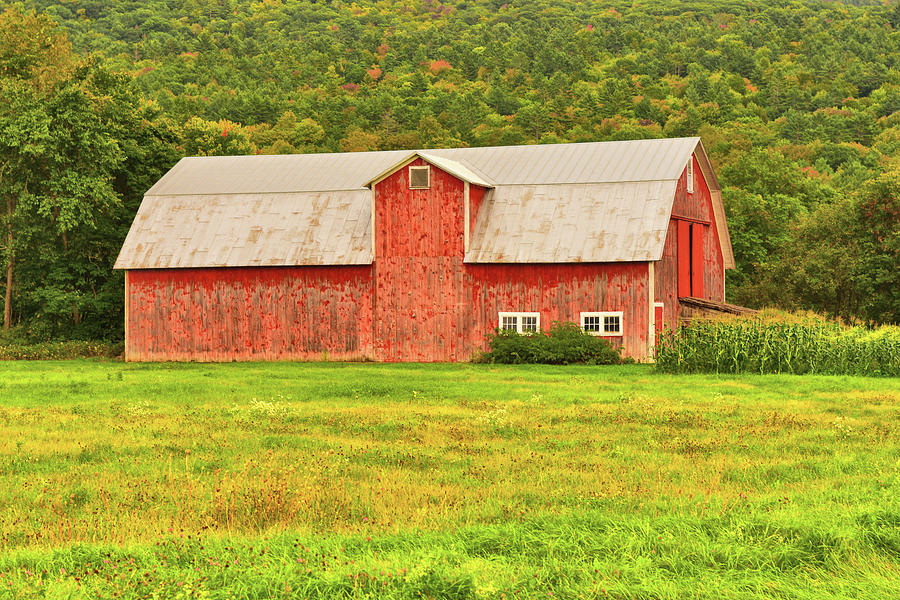 New England Barn Photograph by Catherine Reusch Daley - Fine Art America