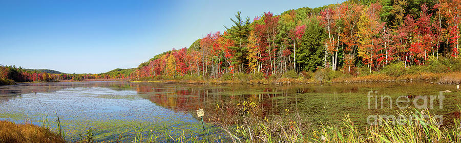 New England colors Photograph by Agnes Caruso