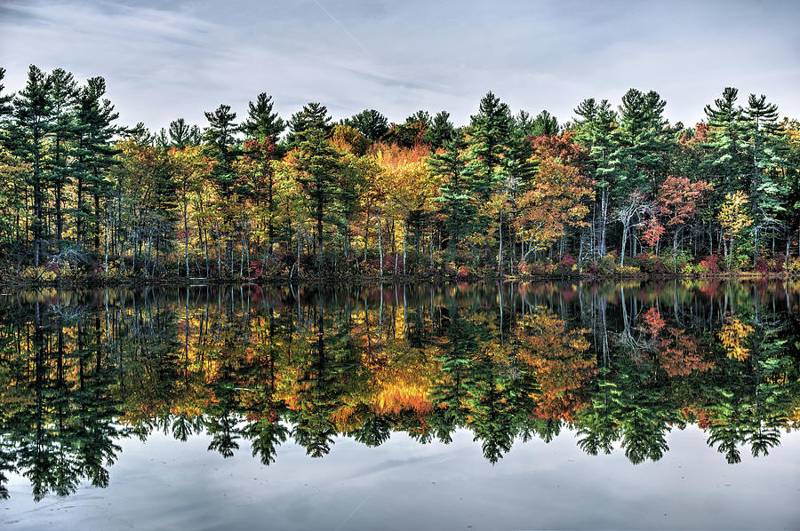 New England Fall 1a Photograph by Dimitry Papkov