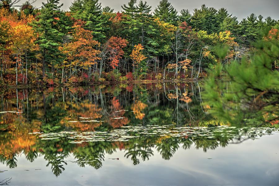 New England Fall 2 Photograph by Dimitry Papkov