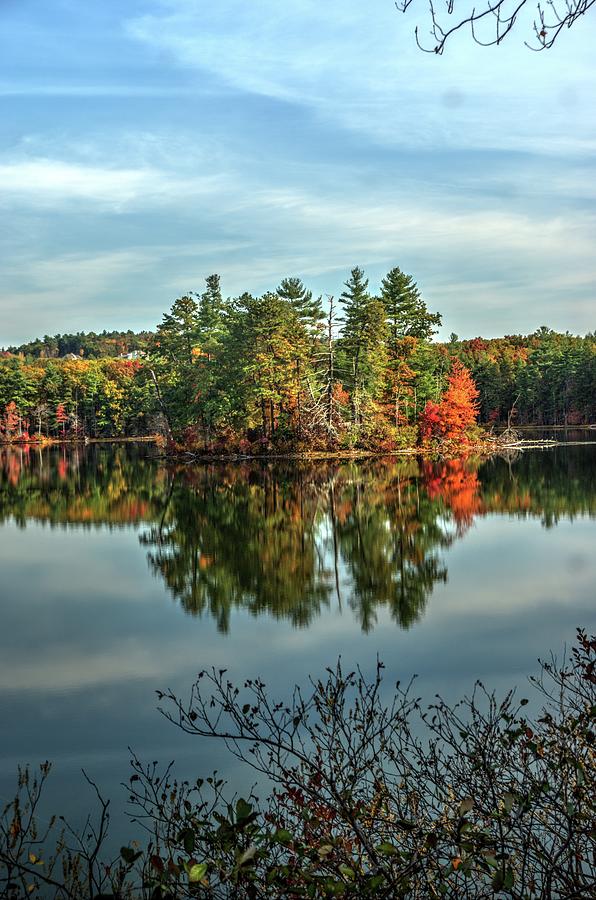 New England Fall 4 Photograph by Dimitry Papkov