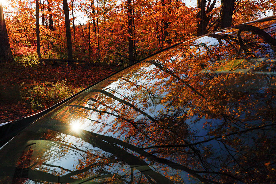 New England Fall Photograph by Alexander Farnsworth