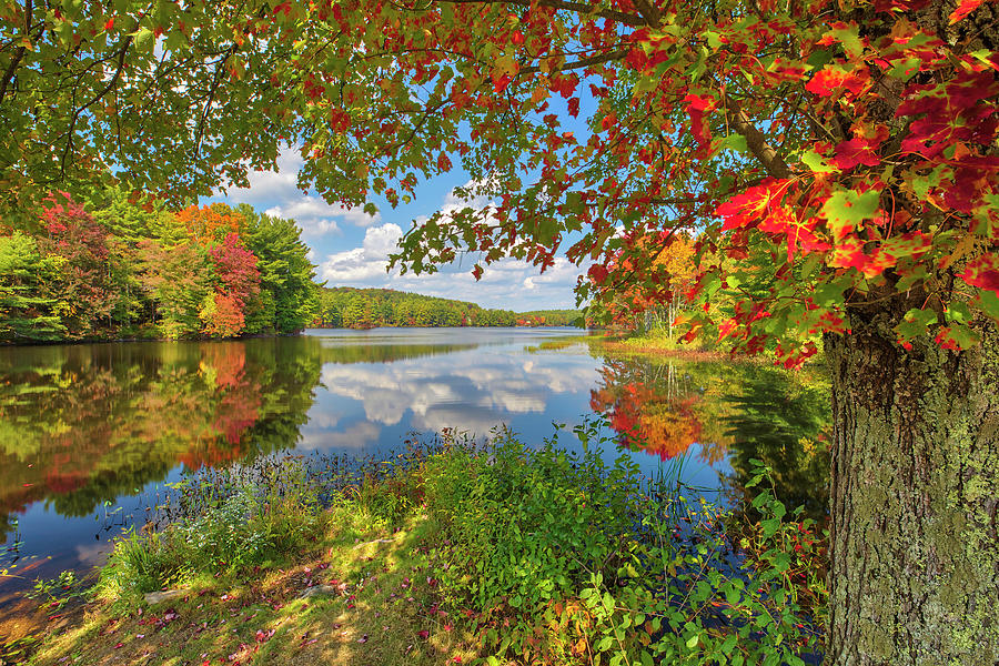 New England fall foliage at Brigham Pond in Hubbardston Massachusetts ...