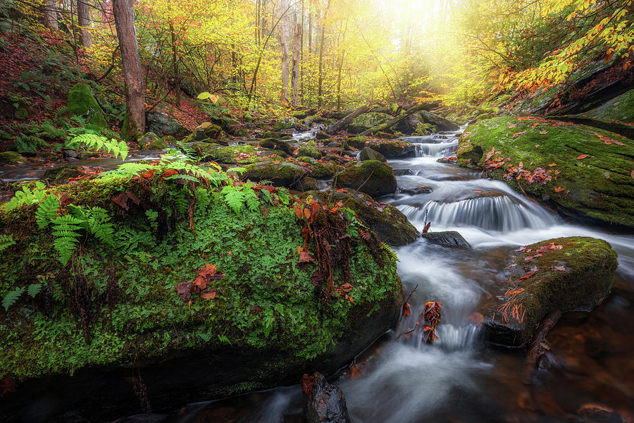 Waterfall Photograph - New England Fall Foliage by Bill Wakeley