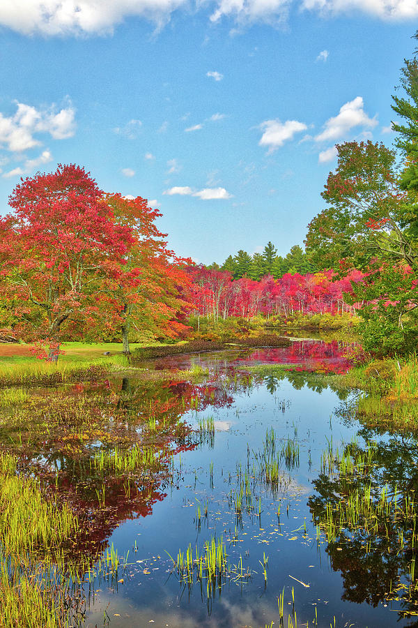 New England fall foliage peak colors at Stillwater River in Sterling, Massachusetts Photograph by Juergen Roth