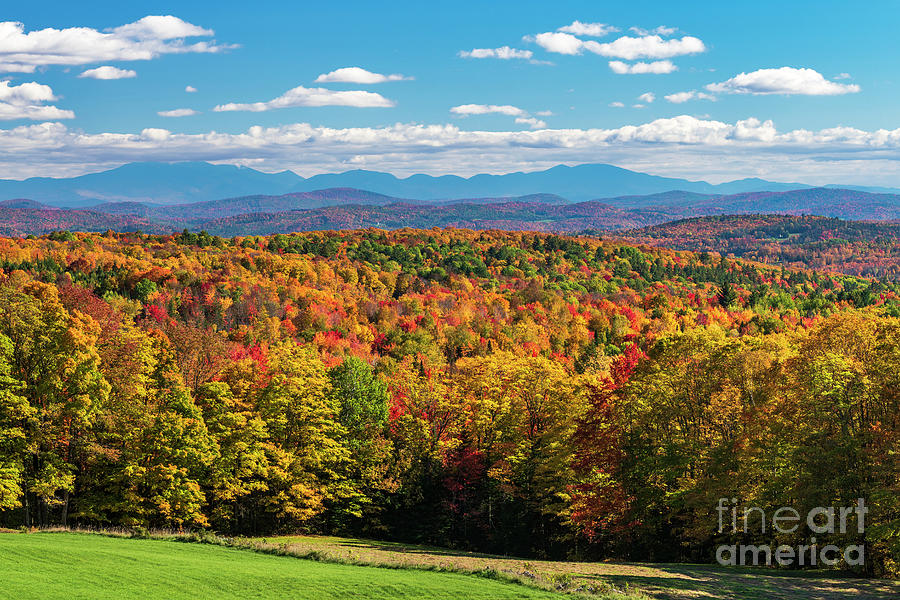 New England Fall View Photograph