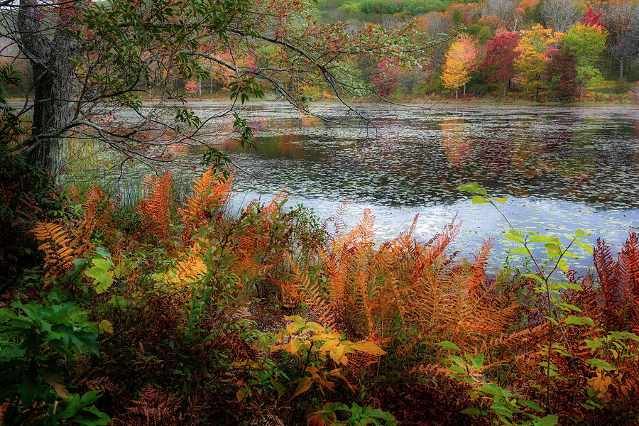 New England Farm Pond Photograph by Bill Wakeley