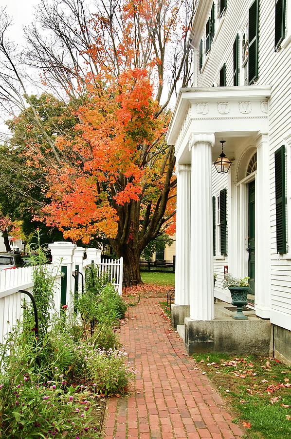 New England Foliage Photograph by Caroline Stella