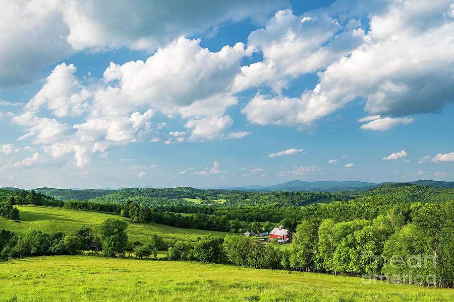 New England June Countryside Photograph by Alan L Graham