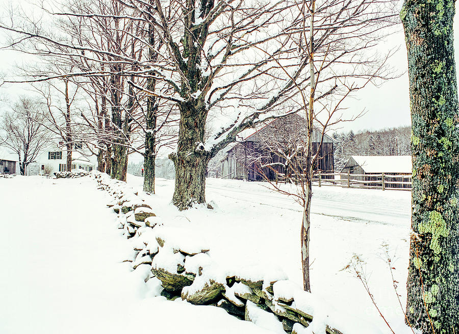 Old New England stone wall in winter Photograph by Michael McCormack