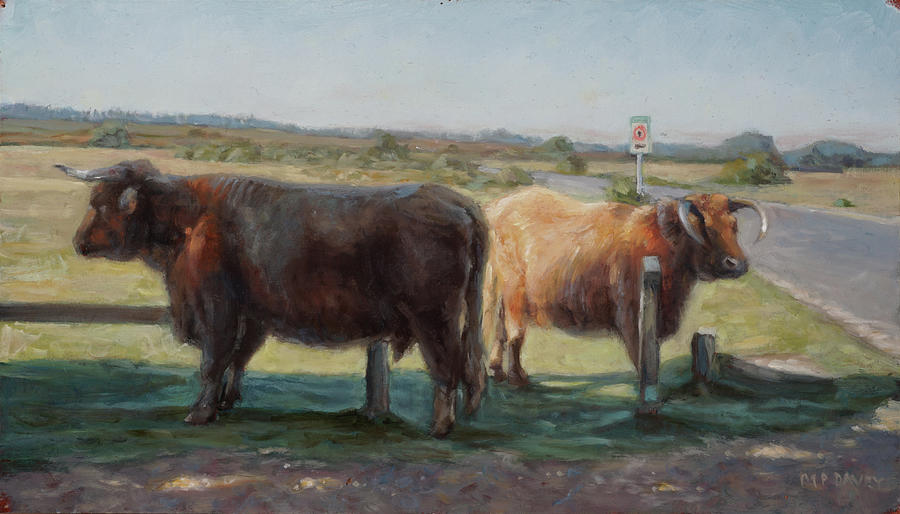 Bull Painting - New Forest Highland Bulls at crossing by Martin Davey
