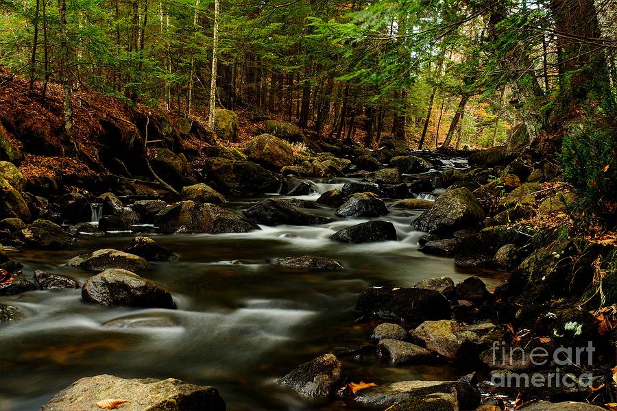 New Hampshire Brook Photograph by Steve Brown