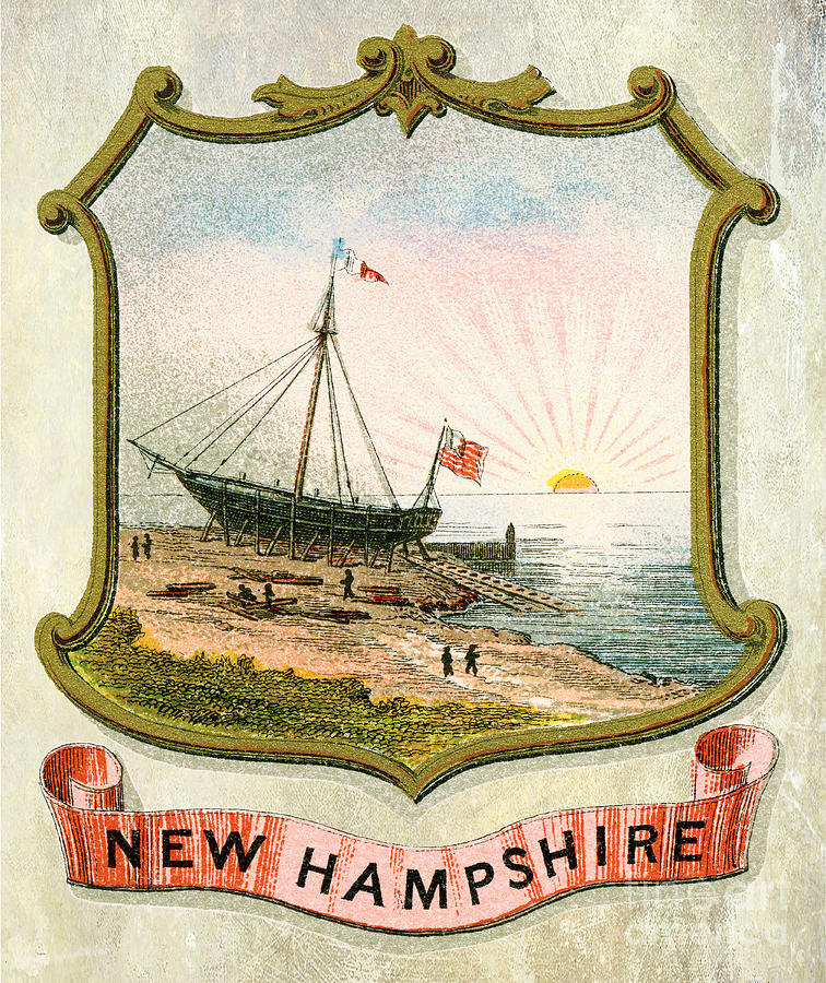 New Hampshire Coat of Arms 1876 Photograph by Jon Neidert
