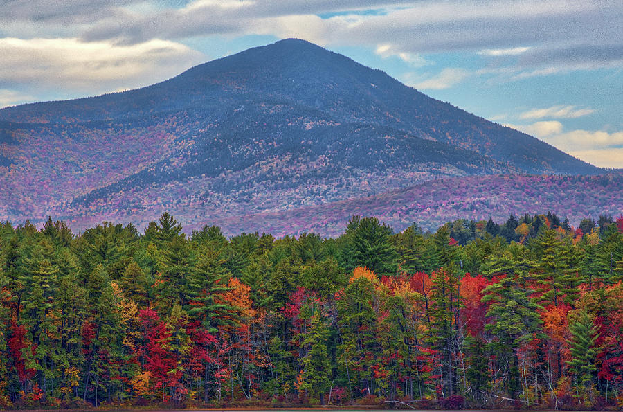 New Hampshire fall foliage at White Lake State Park Photograph by Juergen Roth