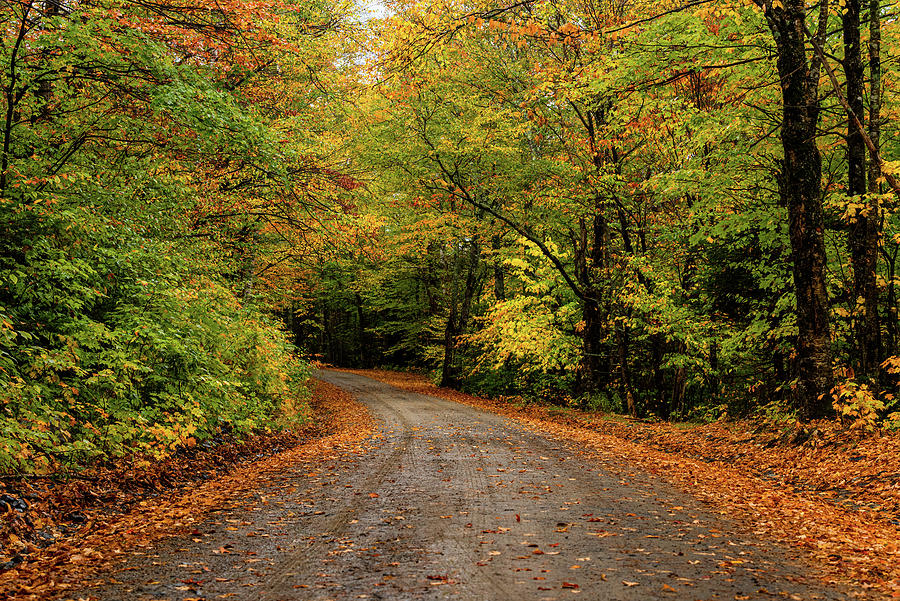 Fall Photograph - New Hampshire Fall Foliage I by William Dickman