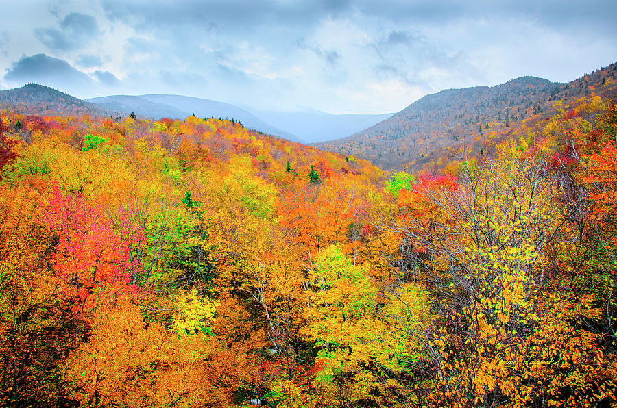 New Hampshire Fall Folliage Photograph by Penny Lisowski