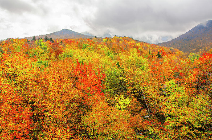 New Hampshire Fall Photograph by Penny Lisowski