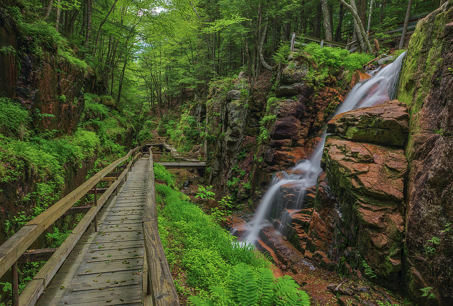 New Hampshire Flume Gorge Boardwalk Hike Photograph by Juergen Roth