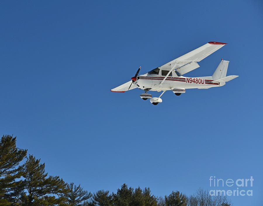 New Hampshire Fly - In Photograph by Steve Brown