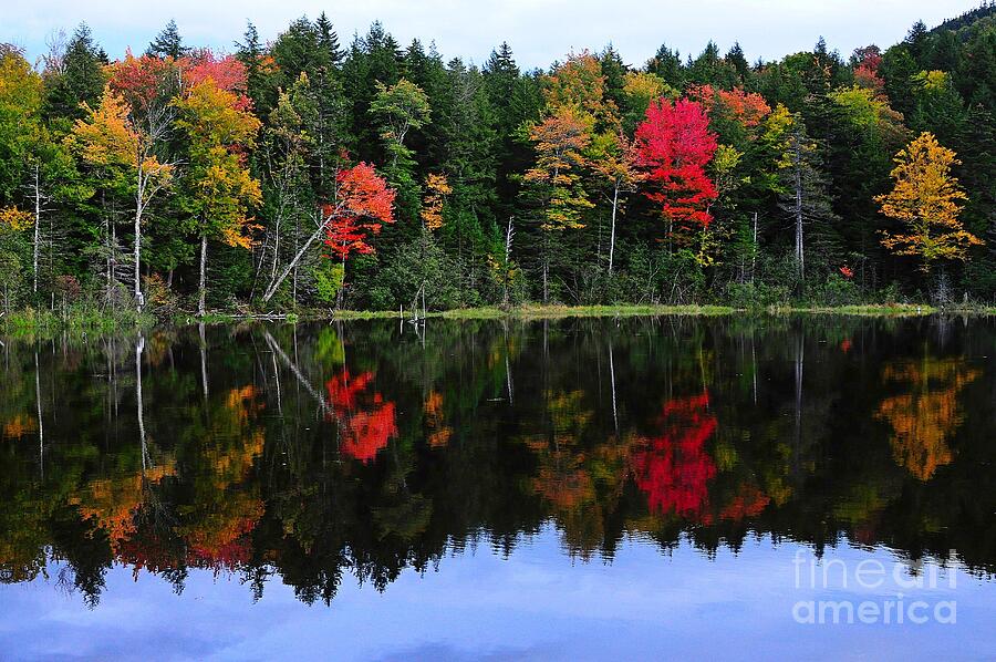 New Hampshire in Full Color Photograph by Steve Brown