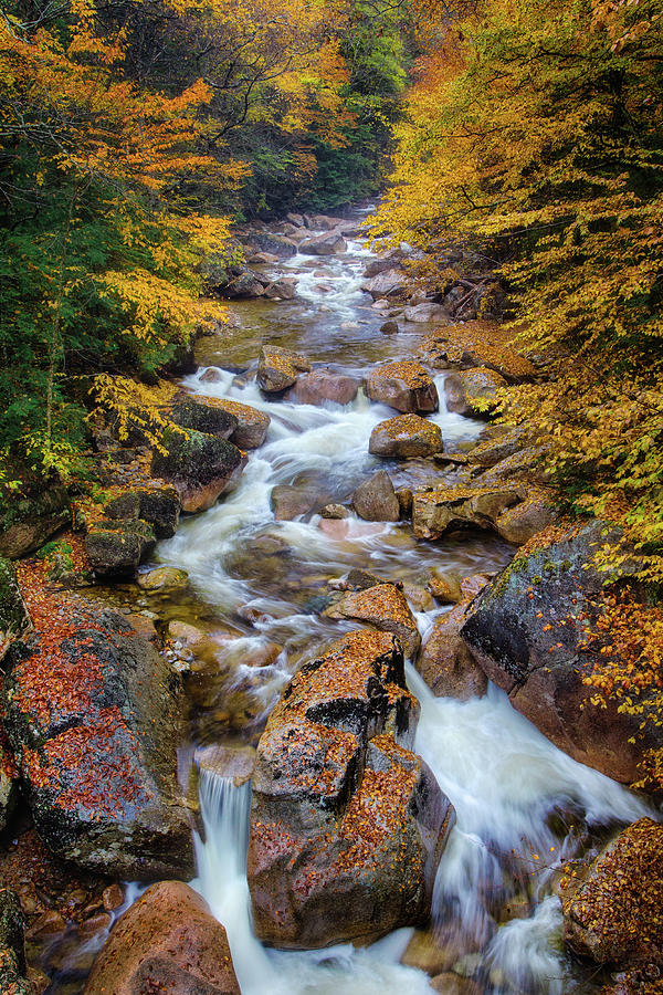 New Hampshire Stream Photograph by Jerry Fornarotto