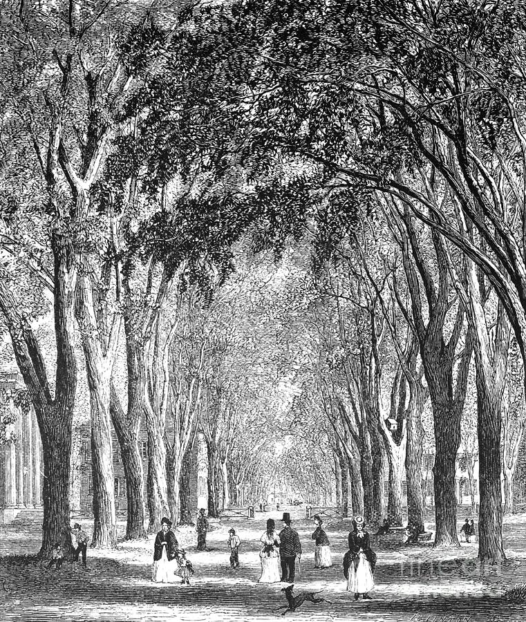 New Haven, Connecticut, 1874 Drawing by William H Gibson