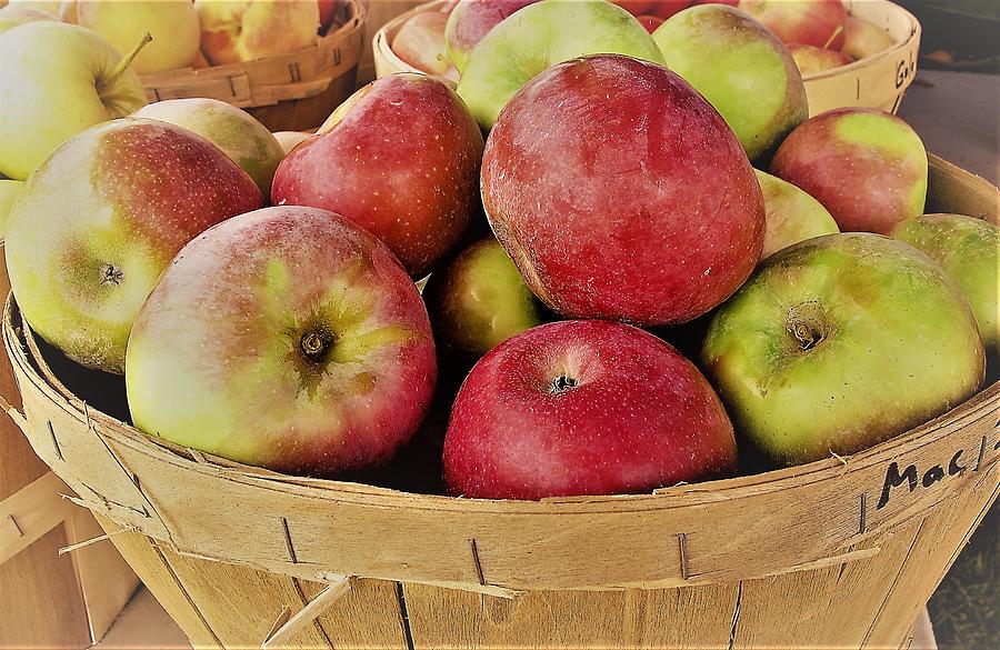 New Jersey Apples Photograph by Agnieszka Gerwel