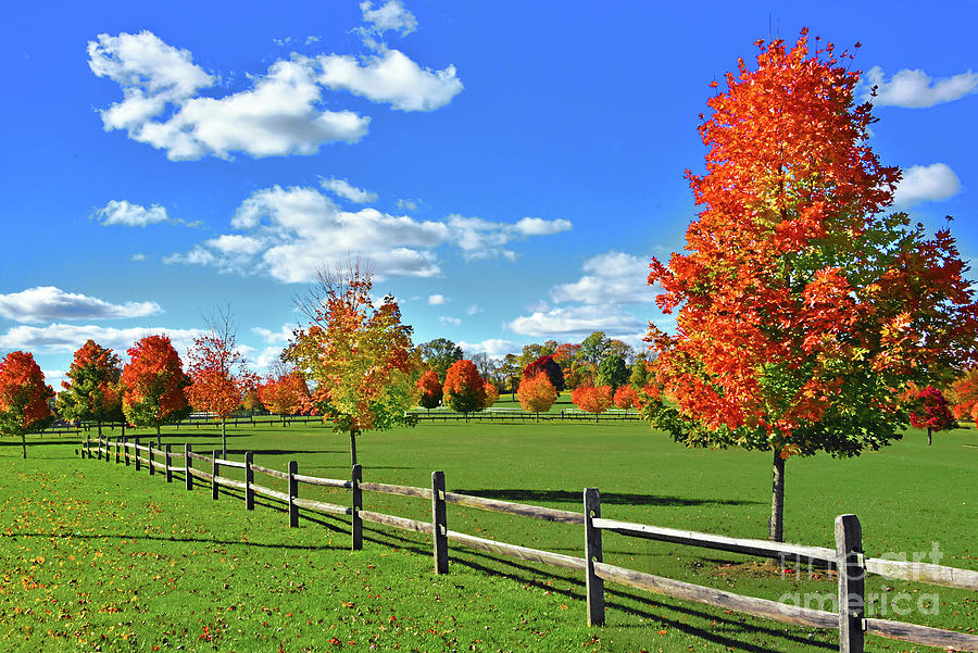New Jersey Countryside Autumn Beauty Photograph