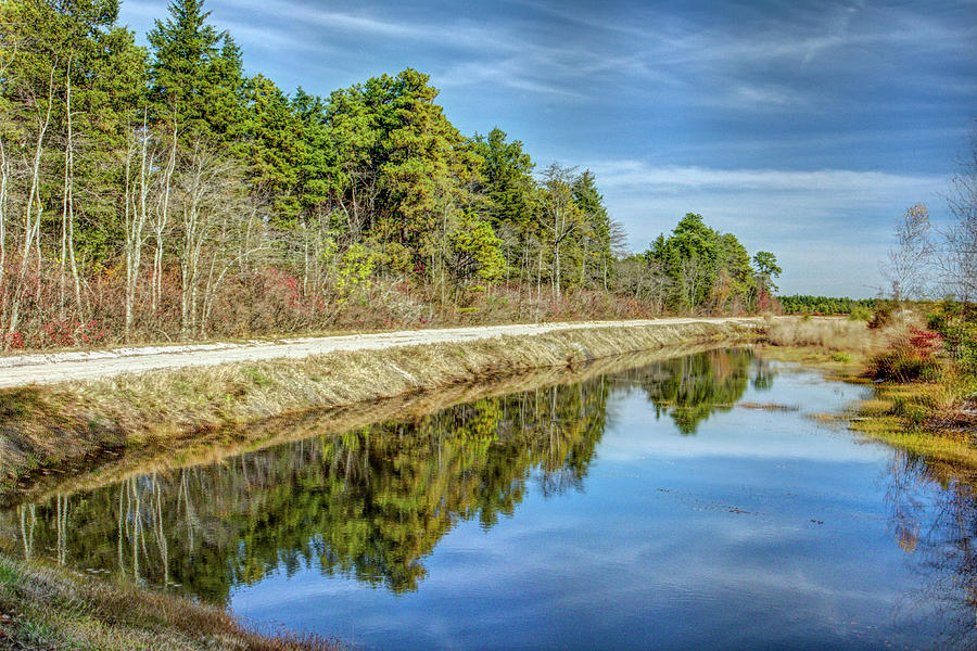 New Jersey Cranberry Bogs At Whitesbog Village In Browns Mills Nj