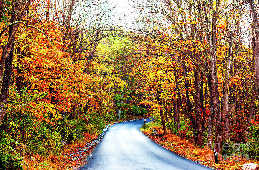 New Jersey Skylands Road at Ringwood State Park Photograph by John ...