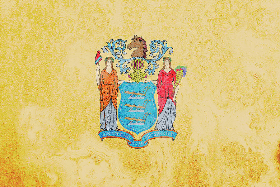 New Jersey State Flag Photograph