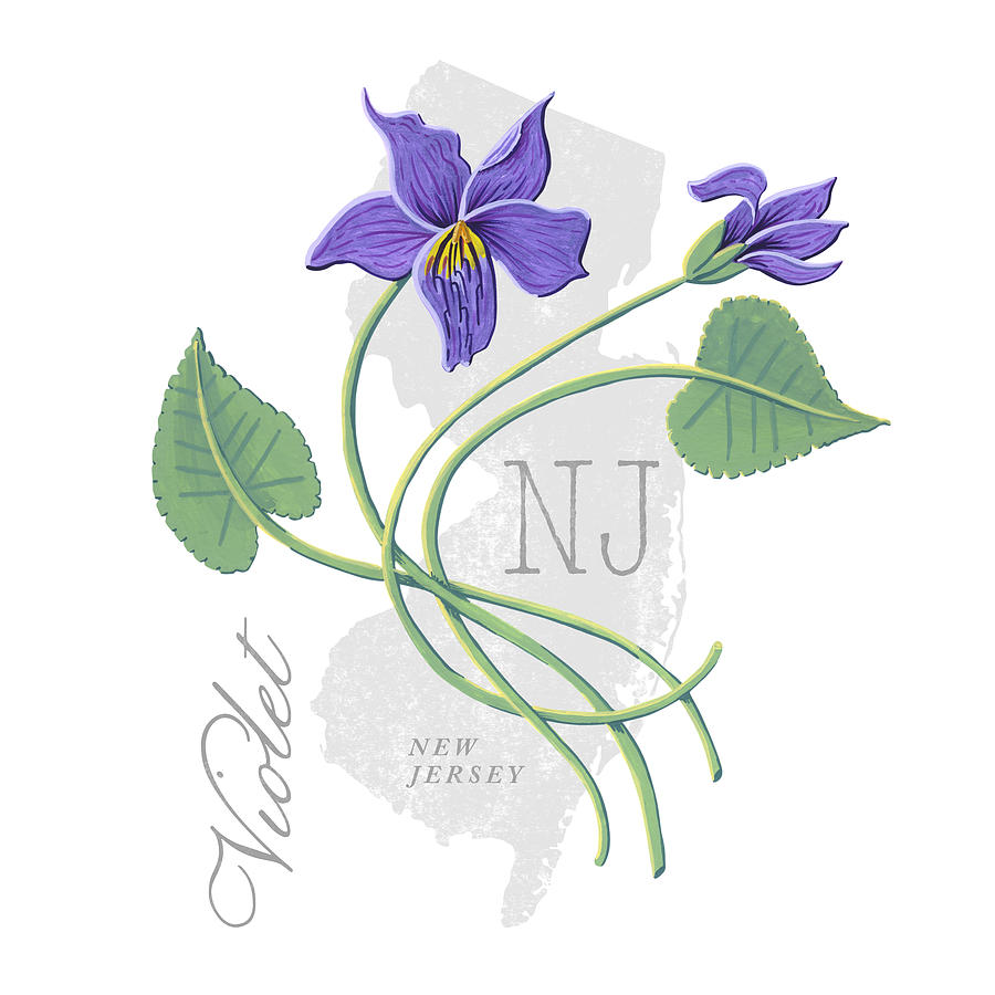 New Jersey State Flower Violet Art by Jen Montgomery Painting by Jen Montgomery