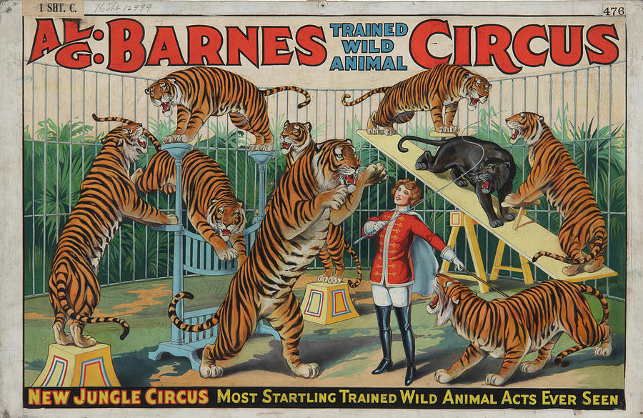 New Jungle Circus Digital Art by Pop Culture - Fine Art America