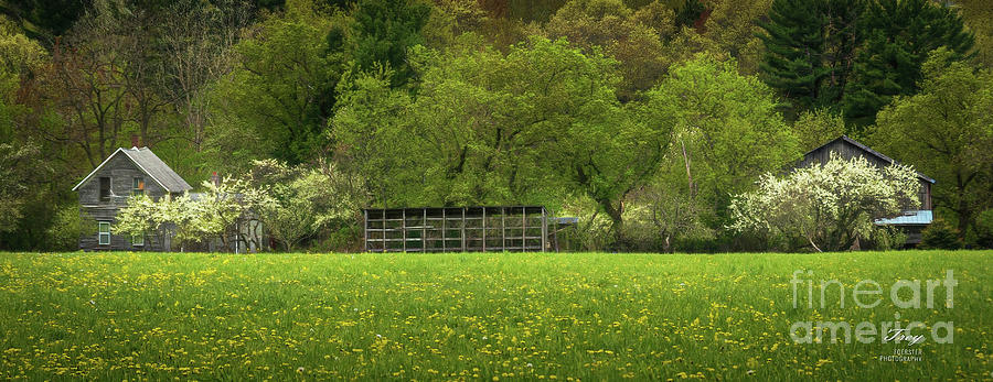 Spring Photograph - New Life on Old Farmstead by Trey Foerster