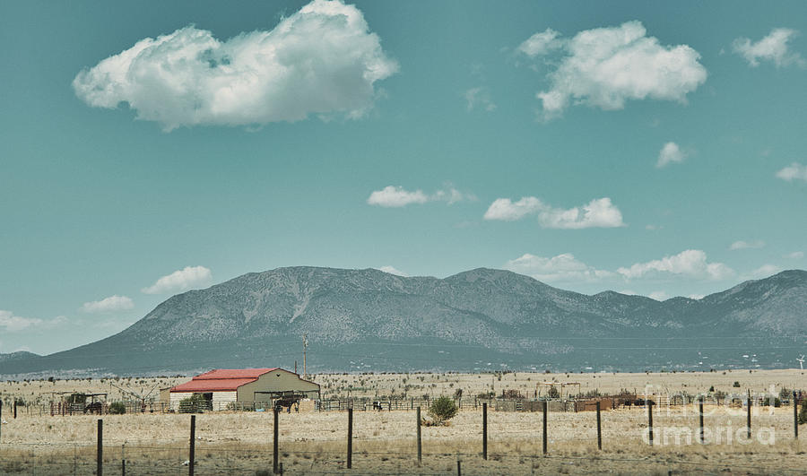 New Mexico Beauty 6 Photograph by Andrea Anderegg