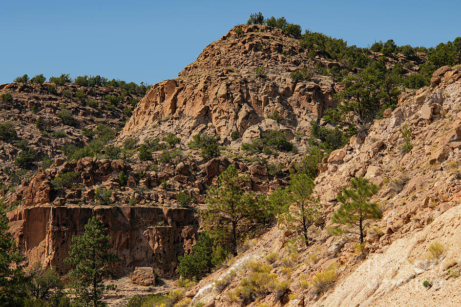New Mexico Canyon Landscape One Photograph by Bob Phillips