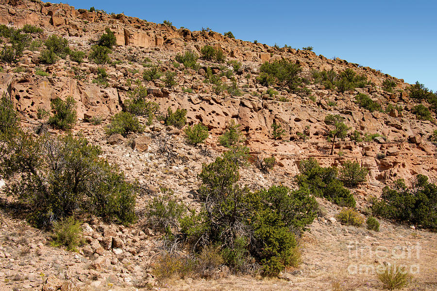 New Mexico Canyon Landscape Two Photograph by Bob Phillips