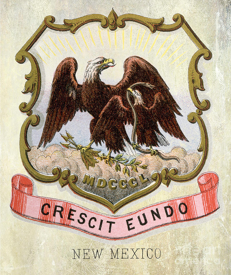 New Mexico Coat of Arms 1876 Photograph by Jon Neidert