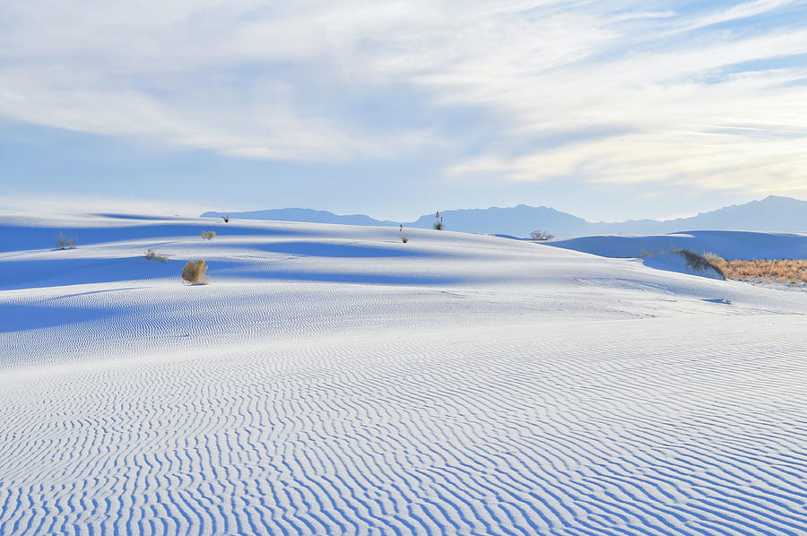 New Mexico White Sands Photograph by Kyle Hanson