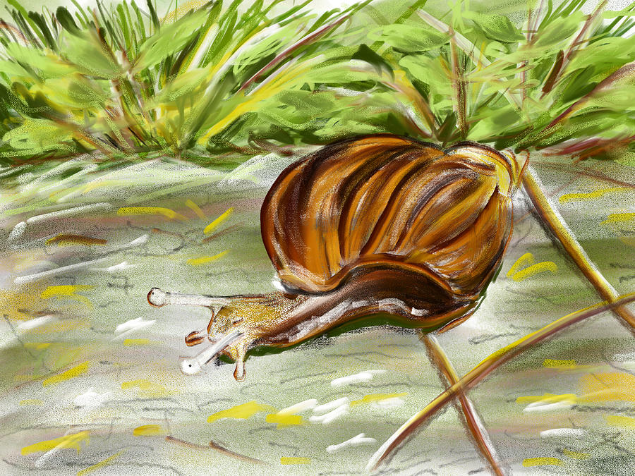 https://images.fineartamerica.com/images/artworkimages/mediumlarge/3/new-mixer-brushes-for-snail-drawing-in-adobe-fresco-sun-alan.jpg