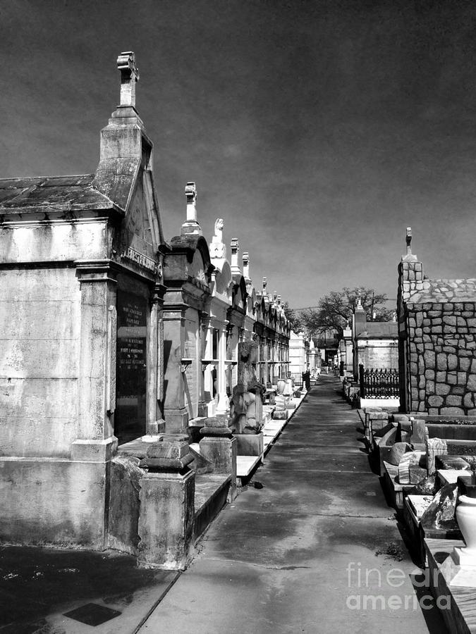 New Orleans Cemetery Photograph