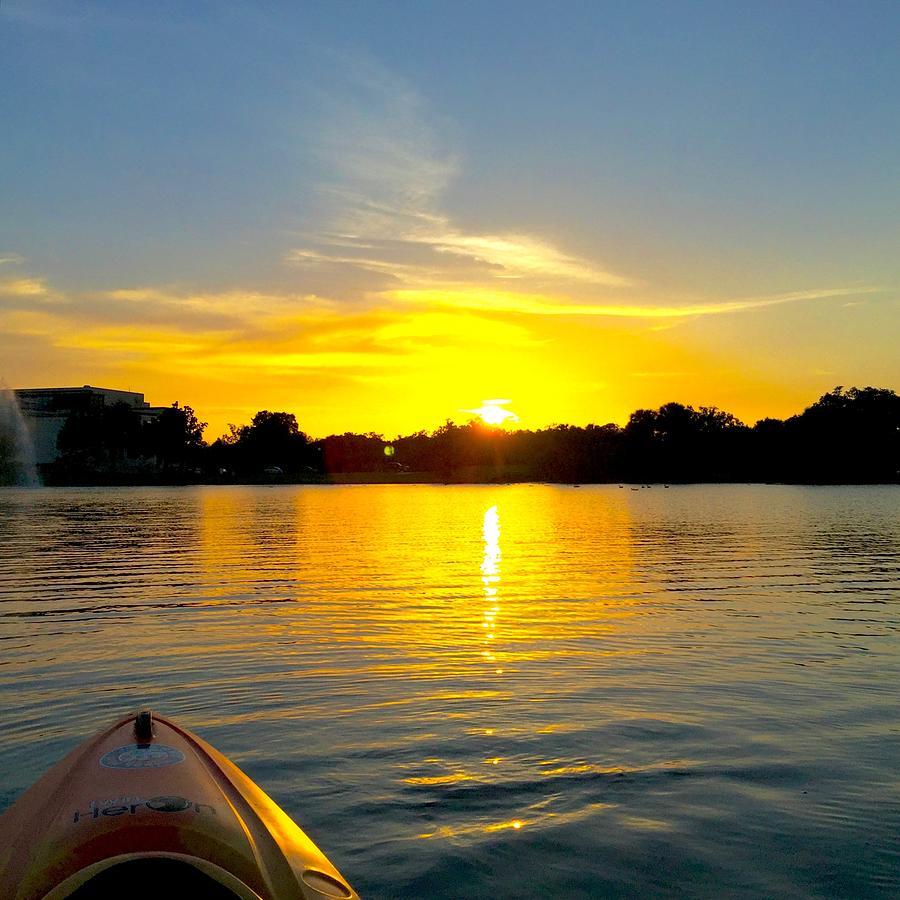 New Orleans City Park Sunset Photograph by Jason Bergeron - Fine Art ...