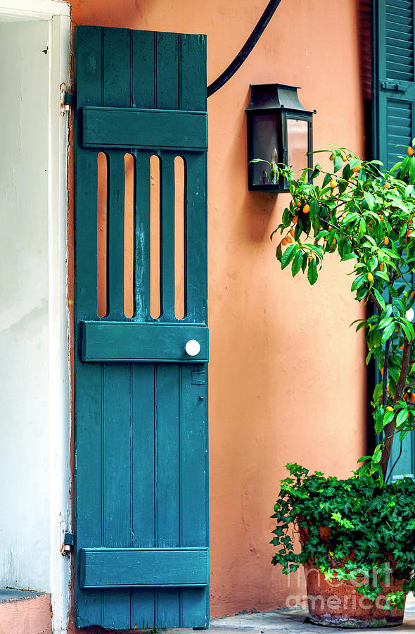 New Orleans Creole Courtyard Door Photograph by John Rizzuto