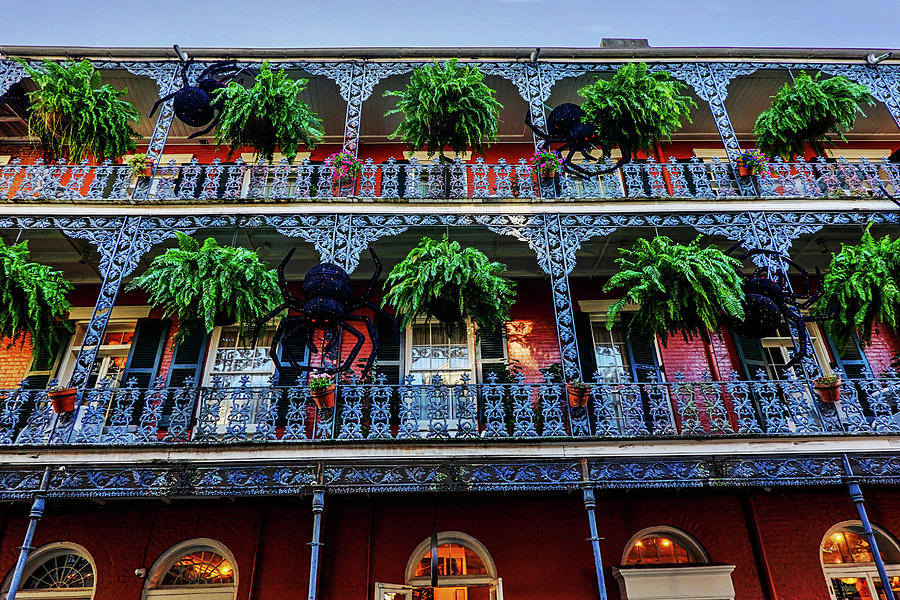 New Orleans Halloween Balconies with Spiders and Hanging Plants Photograph by Toby McGuire