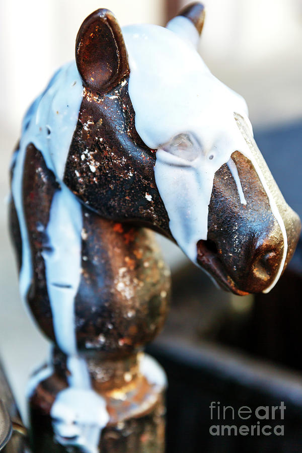 New Orleans Horse Head Pole Photograph by John Rizzuto