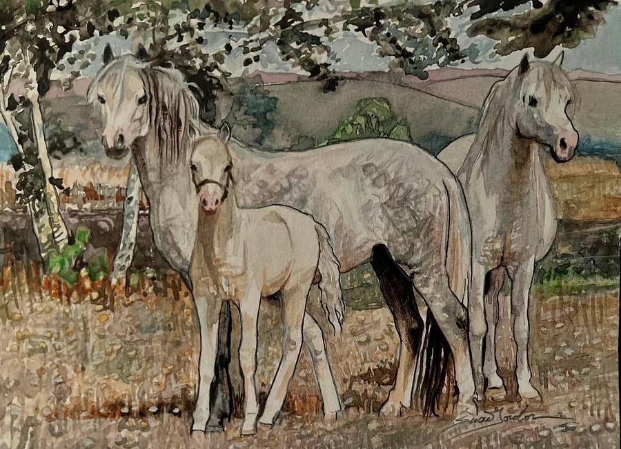 Horse Painting - New Pastures by Susie Gordon
