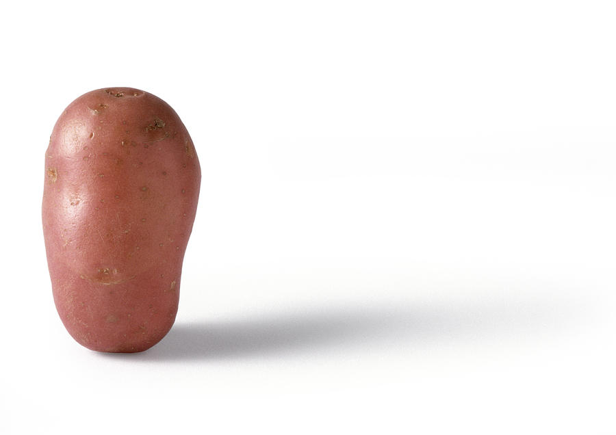 New potato standing upright, close-up Photograph by Isabelle Rozenbaum