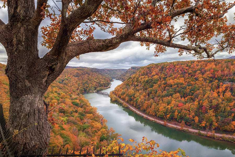 New River Gorge - Hawks Nest in Autumn Photograph by Susan Rissi Tregoning