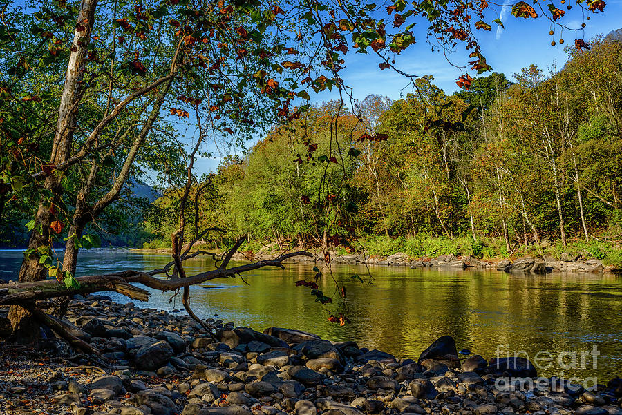 New River Gorge Morning Light Photograph by Thomas R Fletcher